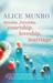 Hateship, Friendship, Courtship, Loveship, Marriage (Paperback)