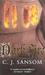 Dark Fire (Matthew Shardlake, #2)