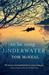 To Be Sung Underwater (Paperback)