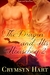 The Dragon and His Houseboy 2