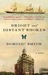 Bright and Distant Shores (Kindle Edition)