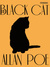 The Black Cat (ebook)