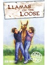 Llamas on the Loose
