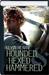 Iron Druid Chronicles Volume 1 - Hounded, Hexed, & Hammered (Iron Druid Chronicles, #1-3)