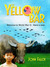The Yellow Bar