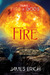 Fire (Dreams of Fire and Go...