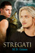 Stregati (ebook)
