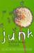 Junk (ebook)