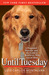 Until Tuesday: A Wounded Warrior and the Golden Retriever Who Saved Him (Paperback)