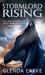 Stormlord Rising (Watergivers, #2)