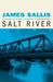 Salt River: A Novel. James Sallis (Paperback)