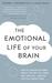 The Emotional Life of Your Brain: How Its Unique Patterns Affect the Way You Think, Feel, and Live - And How You Can Change Them (Paperback)