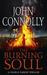 The Burning Soul (Paperback)
