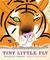 Tiny Little Fly (Hardcover)