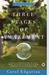 Three Stages of Amazement by Carol Edgarian Three Stages of Amazement by Carol Edgarian