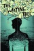 The Waiting Tree by Lindsay Moynihan