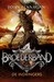 De Indringers (Brotherband Chronicles, #2)
