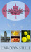 A Year on Planet Alzheimer:...