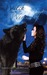The Witch and The Werewolf by April Fifer