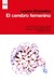 El cerebro femenino