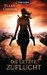 Die letzte Zuflucht (Dark Age Dawning, #2)