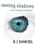 Casting Shadows: The Further Misadventures of a Vision Painter