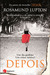Depois (Paperback)