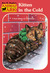 Kitten in the Cold (Animal Ark, #13)
