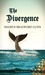 The Divergence (Southern Sk...