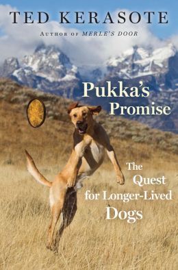 Pukka's Promise: The Quest for Longer-Lived Dogs Pukka's Promise: The Quest for Longer-Lived Dogs