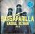 Sarsaparilla