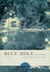 Blue Hole Back Home: A Novel (Kindle Edition)