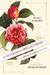 A Victorian Flower Dictionary: The Language of Flowers Companion (ebook)