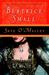 Skye O'Malley (O'Malley Saga, #1)