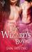 The Wizard's Boy by Jan  Irving