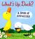 What's Up, Duck?: A Book of Opposites (ebook)