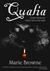 Qualia Qualia