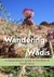 Wandering through Wadis: A ...