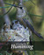 Growing Up Humming by Mike Spinak