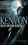 Bad Moon Rising (Dark-Hunter, #18; Were-Hunter, #5; Hellchaser, #3)