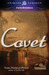 Covet by Terri Herman-Poncé