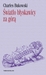 Światło błyskawicy za górą (Paperback)