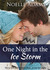 One Night in the Ice Storm by Noelle  Adams