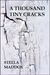A Thousand Tiny Cracks by Stella Maddox A Thousand Tiny Cracks by Stella Maddox