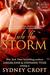 Into the Storm (ACRO, #6.5)
