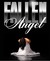Fallen Angel (The Dark Side...