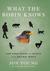 What the Robin Knows: How Birds Reveal the Secrets of the Natural World (ebook)