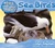 Sea Birds (ebook)