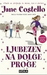 Ljubezen na dolge proge