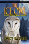 The Ice Owl The Ice Owl